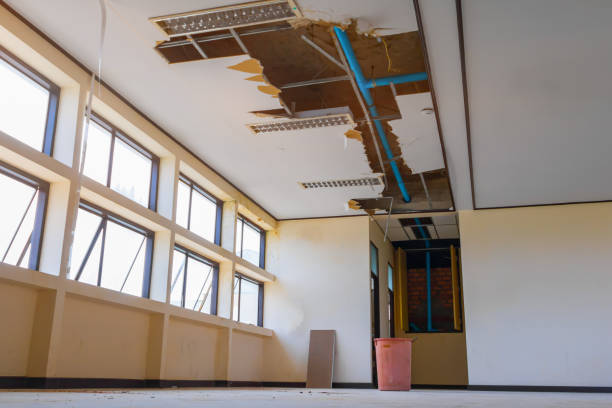 Best Water damage restoration cost  in Mcdade, TX
