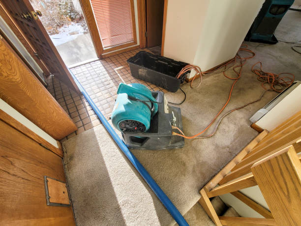 Best Fire Damage Restoration  in Mcdade, TX