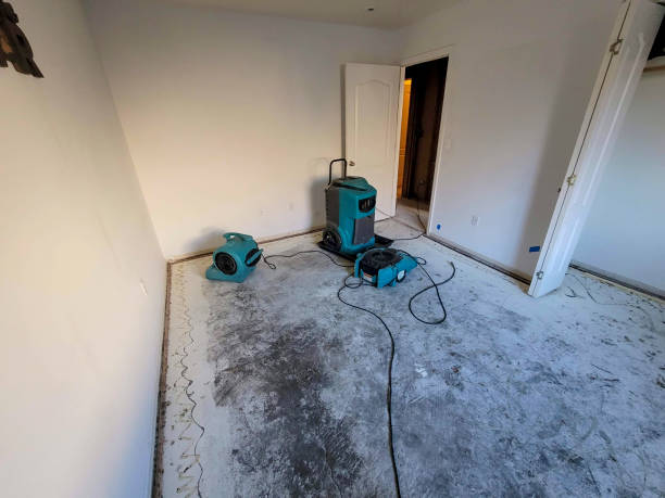 Best Commercial water damage restoration  in Mcdade, TX