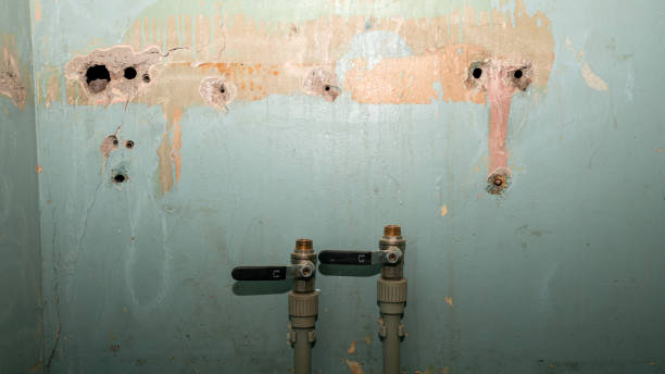 Best Water damage restoration process  in Mcdade, TX